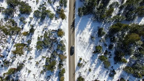 Top-down aerial view of a car driving in winter. Snow, trees, sunny weather. Vidéo 149984288