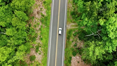 Top-down aerial view of a car on a straight road cutting through... 스톡 동영상 340290824