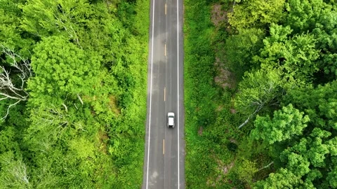 Top-down aerial view of a car on a straight road cutting through... Видео 340290834