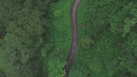 Top Down Aerial View of Car Driving along Forest Road in Trawas East Java Stock Footage 340946673