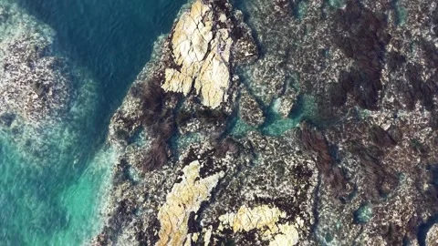 Top Down Aerial View of Clear Turquoise Sea and Coastal Reef Stock Footage 344778563