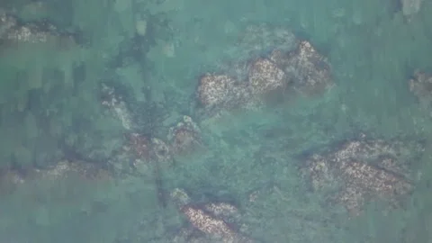 Top Down Aerial View of Clear Turquoise Sea and Coastal Reef Stock Footage 344778600