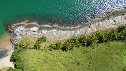 Top-Down Aerial View of Coconut Palms, Rocky Shore and Turquoise Sea – Ilhabela Vídeos de archivo 334617596