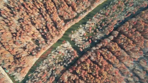Top down aerial view of colorful badlands and narrow river in China Stock Footage 337885874