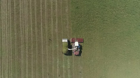 Top down aerial view of Combine harvesti... | Stock Video | Pond5