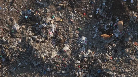 Top-down aerial view of cow grazing amidst vast expanse of domestic waste i.. 스톡 동영상 333293971