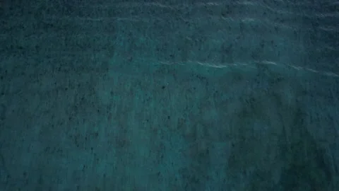 Top down aerial view of crashing ocean waves, drone is slowly hovering in the Stock Footage 256152309