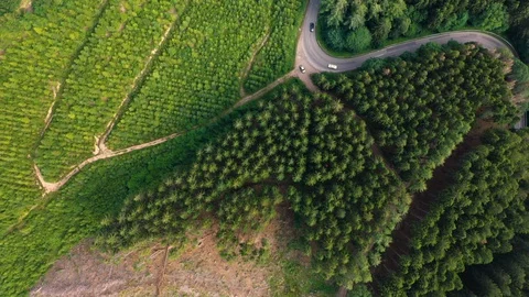 Top down aerial view of crossroads in rular area of Germany Stock Footage 127662972