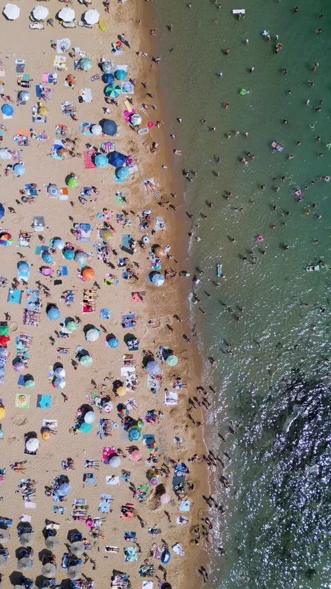 Top Down Aerial View of Crowded Golden Sands Beach in Bulgaria Vídeos de archivo 344109157