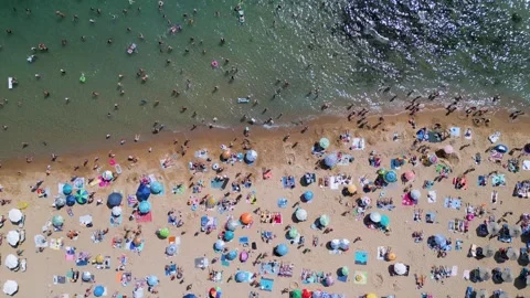 Top Down Aerial View of Crowded Golden Sands Beach in Bulgaria Stock-Footage 344109191