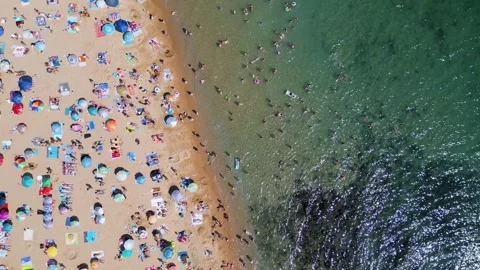 Top Down Aerial View of Crowded Golden Sands Beach in Bulgaria Stock-Footage 344109984