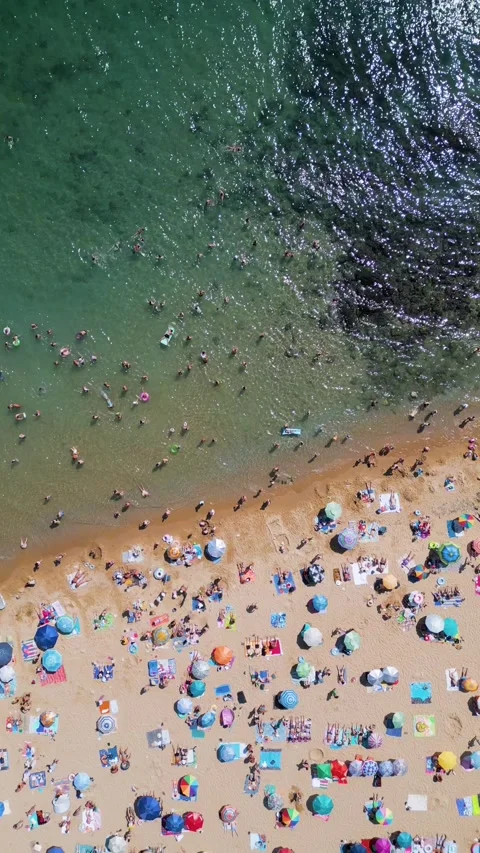 Top Down Aerial View of Crowded Golden Sands Beach in Bulgaria Stock-Footage 344110185