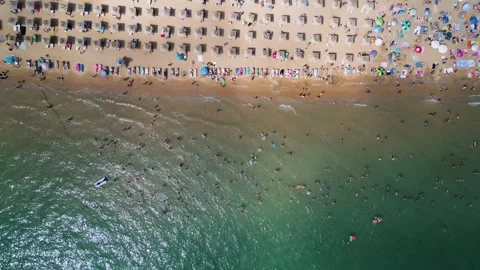 Top Down Aerial View of Crowded Golden Sands Beach in Bulgaria Stock-Footage 344110449