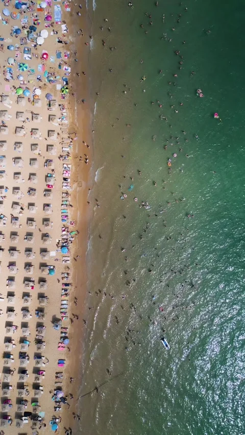 Top Down Aerial View of Crowded Golden Sands Beach in Bulgaria Stock-Footage 344110453