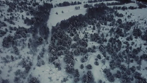 Top down aerial view of a dense snowy forest in Lofoten Islands, Norway Stock-Footage 335127275