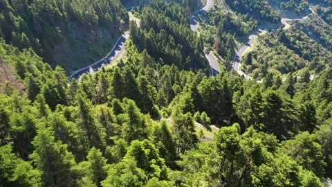 Top down aerial view of dense forest canopy with hidden mountain road Stock Footage 343947762