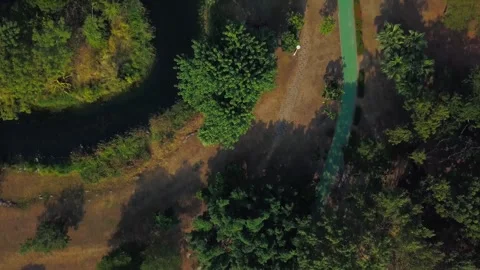 Top Down Aerial View of Dense Green Forest in Taiwan 4K Stock-Footage 346614894