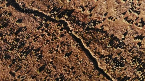 Top Down Aerial view of Desert Landscape at Sunset - Drone Stock Footage 111389541