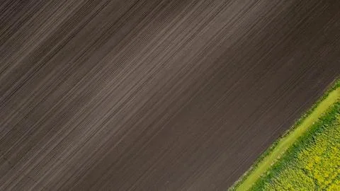 Top down aerial view of diagonal plowed agricultural soil texture with yell.. Stock Photos