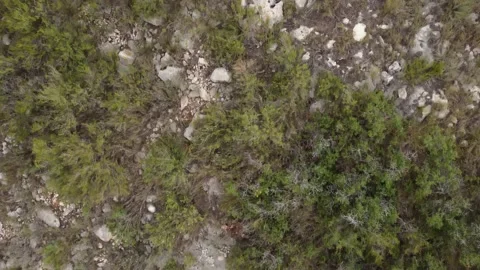 Top-down aerial view of drone landing on portable landing pad Stock Footage 159050449