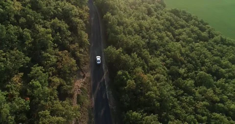 Top down aerial view drone image on road trought the trees and forest mountain Stock Footage 196302561
