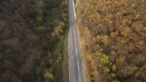 Top down aerial view drone image on the road trough the trees and forest in.. Stock Footage 255170614