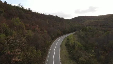 Top down aerial view drone image on the road trough the trees and forest in.. Stock-Footage 255170621