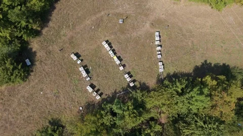 Top-Down Aerial View of Drone Descending Towards Apiary and Beehives in Bijela Vídeo Stock 342716866