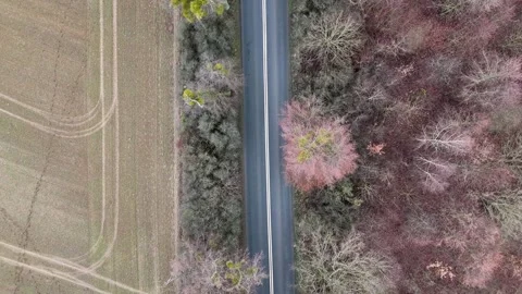 Top Down Aerial View of Empty Country Road Between Field and Forest Stock Footage 323722449