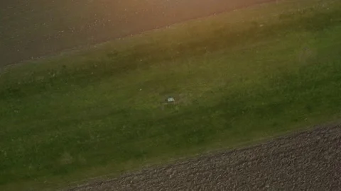 Top down aerial view of a field during sunset in summer. Beautiful clear contras Video stock 146011178