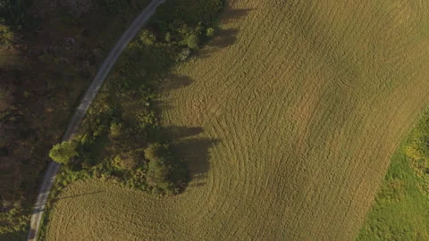 Top Down Aerial View of Field and Farm Track in Sveio, Norway Видео 345089085