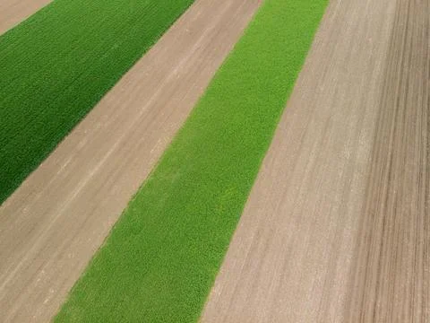 Top down aerial view of fields with various types of agriculture. Stock Photos