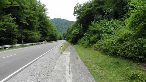 Top down aerial view flying over forest road. Green trees of woods growing both Stock Footage 134570768
