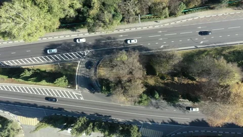 Top down aerial view flying over forest road with car. Green trees of woods Vidéo 150113693