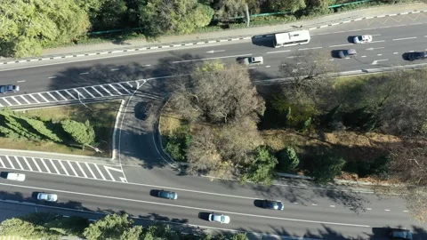 Top down aerial view flying over forest road with car. Green trees of woods Vidéo 150113776