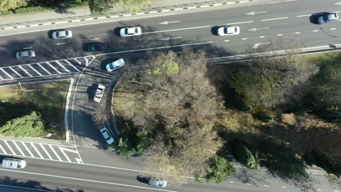 Top down aerial view flying over forest road with car. Green trees of woods 库存影片 150113850