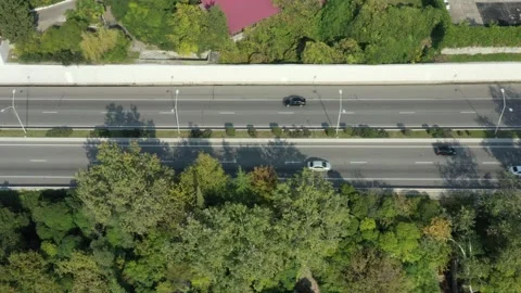 Top down aerial view flying over forest road with car. Green trees of woods 库存影片 150114480