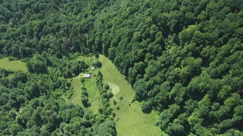 A top-down aerial view of a forest glade among mixed green forest on a summer Video stock 181544774