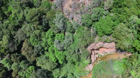 Top Down Aerial View of Forest Gorge in Peloponnese Stock-Footage 334872571
