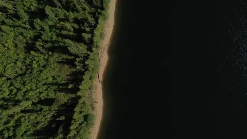 Top-Down Aerial View of Forest Edge Along Reservoir Shoreline - Romania Stock Footage 345512685