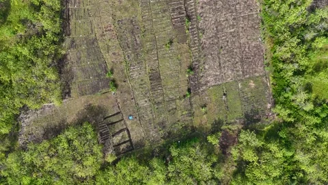 Top Down Aerial View of Forest Farmland Stock Footage 346385223