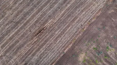 Top-Down Aerial View of a Freshly Plowed Agricultural Field Stock Footage 315907182