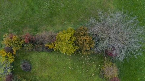 Top down aerial view of garden fence overgrown with bushes and trees Stock Footage 97741443