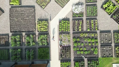 Top-down aerial view of a garden with organized raised beds Stock Footage 340240469