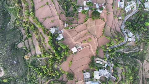 Top-down aerial view of geometric terrace farming and stepped agricultural field Stock Footage 335639078