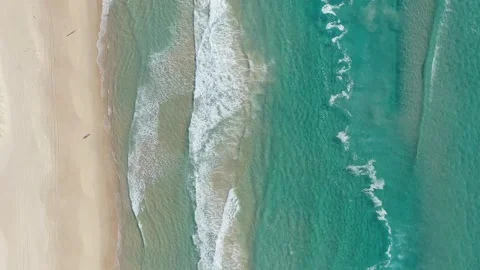 Top Down Aerial View of Gold Coast Beach at Surfers Paradise Video, Wide Shot 库存影片 309628214