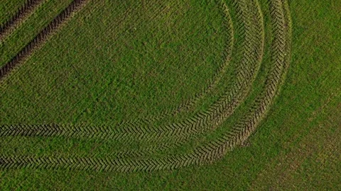 Top down aerial view of green meadow agricultural land in Brandenburg Germany 動画素材 244217054