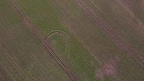 Top down aerial view of green meadow agricultural land in Brandenburg Germany 스톡 동영상 244217066