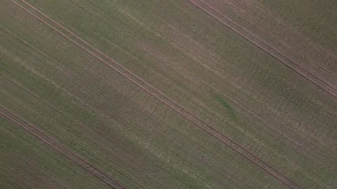 Top down aerial view of green meadow agricultural land in Brandenburg Germany 스톡 동영상 244217075