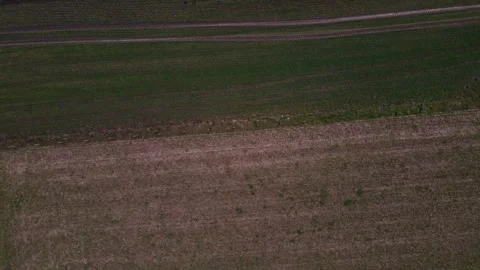 Top down aerial view of a green meadow nature preserve pasture in Brandenbu.. 스톡 동영상 244220745